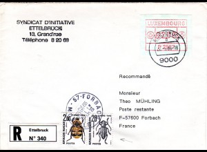 2 Frankreich Käfer Portomarken auf Reko Brief m. Luxemburg Automatenmarke