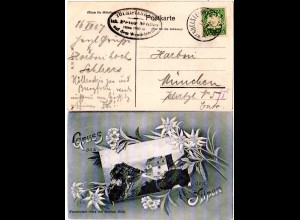 Gruss aus den Alpen m. WENDELSTEINHAUS u. Edelweiss, 1907 gebr. sw-AK