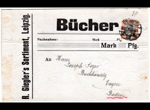 DR 1916, EF 30 Pf. Germania m. perfin auf Päckchenadresse v. Leipzig
