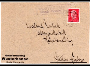 DR 1931, Landpoststempel WUSTERHANSE Bärwalde Land auf Briefteil m. 15 Pf.