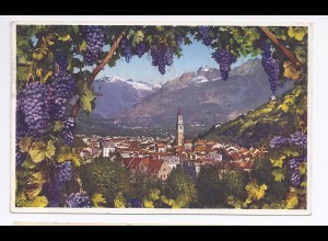 Italien, Meran im Wein Rahmen, Südtirol Alto Adige Farb AK. #467