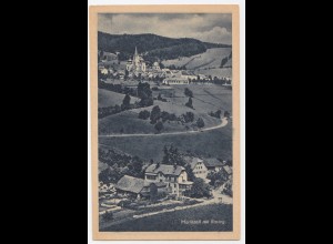 Österreich, Steiermark, Mariazell mit Rasing, ungebr. sw AK. #2264