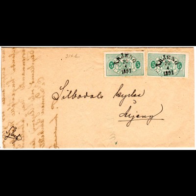 Schweden 1891, MeF 2x5 öre Dienstmarken auf Orts-Brief v. Arjeng