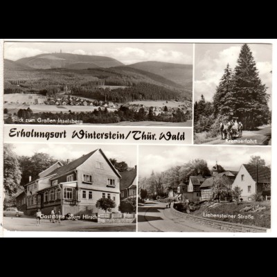 Winterstein, Gaststätte Zum Hirsch u. Strassenpartie, gebr. Mehrbild sw-AK