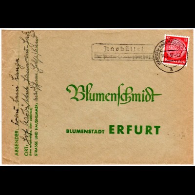 DR 1937, Landpost Stpl. AASBÜTTEL über Hanerau-Hademarschen auf Brief m. 12 Pfg.