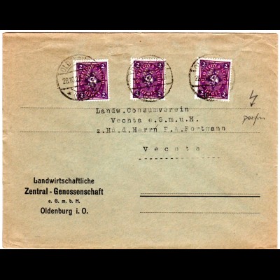 DR 1923, MeF 3x2 Mk. m. Symbol-perfin auf Landwirtschafts Brief v. Oldenburg