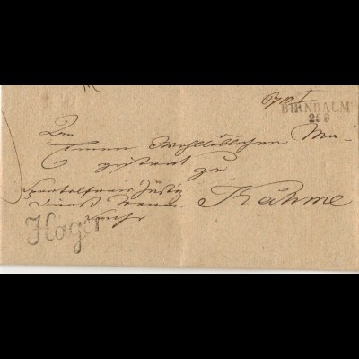Preussen 1841, L2 Birnbaum (Polen) u. Beamtenstempel auf Dienst Brief. #897