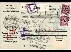 DR 1925, 2x100+rs. Paar 30 Pf. auf Paketkarte v. Erlbach i. Vogtland n. Norwegen