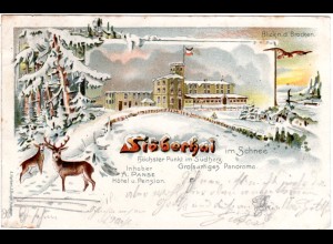 Hotel Stöberhai im Harz, 1899 gebr. Winter Litho-AK