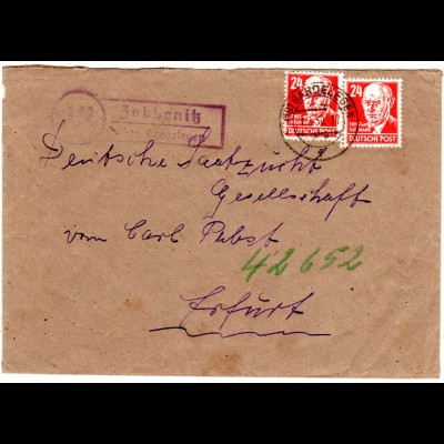 DDR 1950, Landpost Stpl. ZOBBENITZ über Gardelegen auf Brief m. 2x24 Pf.