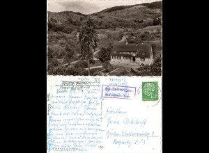 Sehringen, Gasthaus zum Grünen Baum, 1956 gebr. sw-AK m. Landpost Stempel