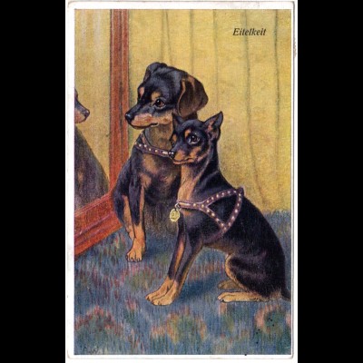 2 Dackel/Pinscher vor einem Spiegel, 1920 gebr. Hunde Farb-AK