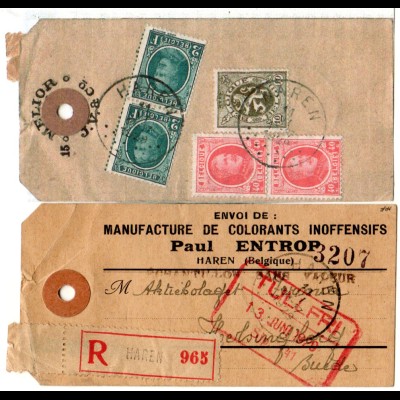 Belgien 1929, 5 Marken rücks. auf Anhänger f. Reko Muster Ohne Wert v. HAREN