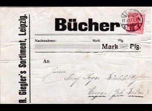 DR 1917, 10 Pf. Germania m. perfin Firmenlochung auf Päckchenadresse v. Leipzig