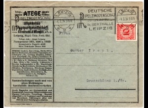 DR 1924, 10 Pf. m. perfin auf Firmen Brief m. Leipzig Pelzmoden Maschinenstpl.