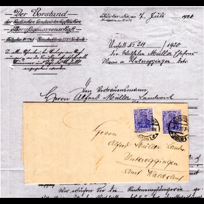 DR 1920, 2x20 Pf. Germania m. perfin LB auf Behörden Brief v. Karlsruhe