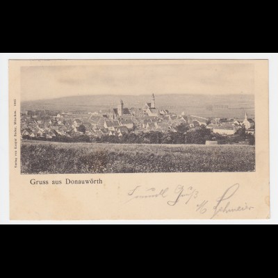  Gruss aus Donauwörth, Panorama v. Schellenberg, 1901 gebr. sw AK